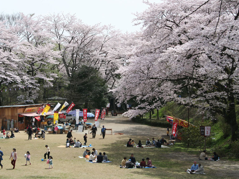 龍城公園（お城山） （大田原市の観光案内）